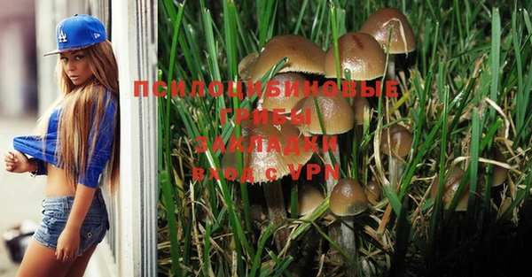 первитин Абинск