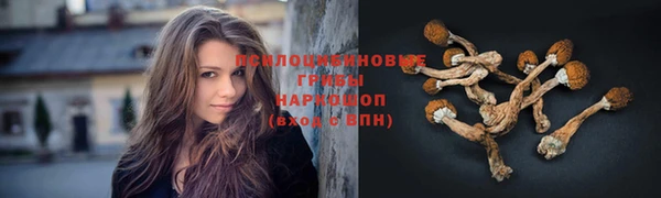 первитин Абинск