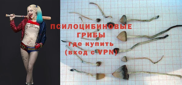 бошки Абдулино
