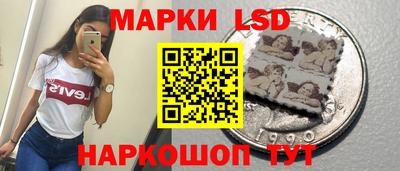 индика Рыбинск