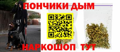 индика Рыбинск