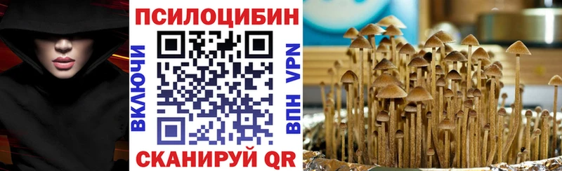 Псилоцибиновые грибы Psilocybe  где можно купить наркотик  Нягань 