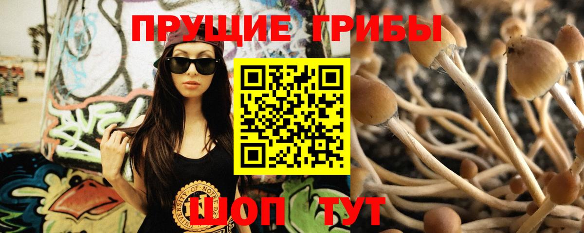 Галлюциногенные грибы мицелий  Вход с VPN  Нягань 